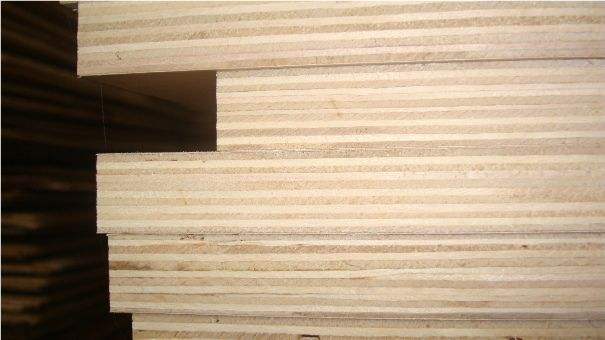 实木多层板的用途及优点-十大板材品牌富士龙板材