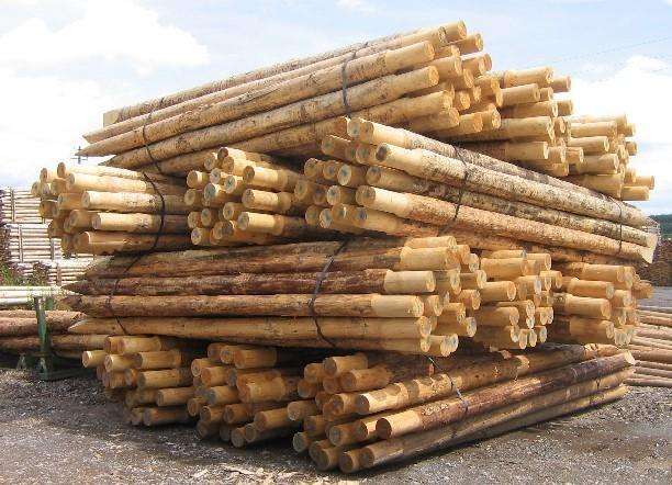 “金九银十” 国内木材市场热点或将被激活