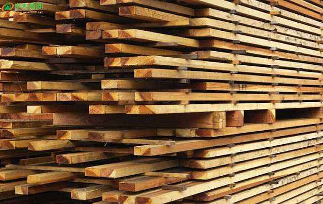 “金九银十” 国内木材市场热点或将被激活